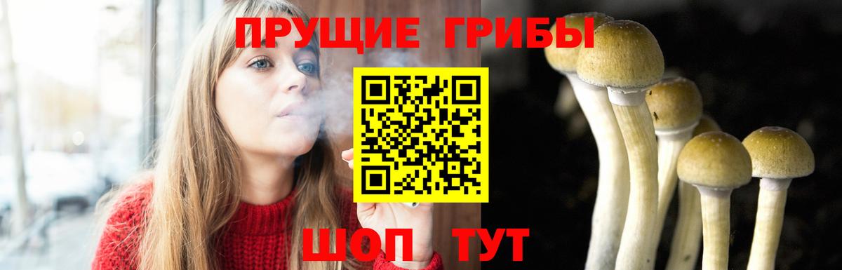 Галлюциногенные грибы мухоморы Красноуфимск